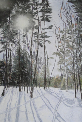 Ski Trail, Stowe, Vermont